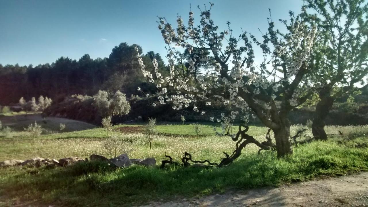 Casa Rumbet Horta de Sant Joan Exteriér fotografie